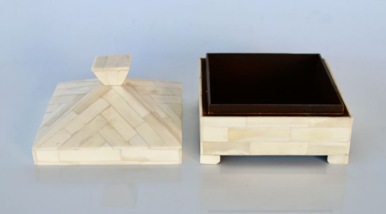 Natural Bone Dome Shaped Box